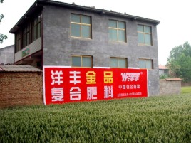  卫辉如何让墙体广告展现最大化效果
