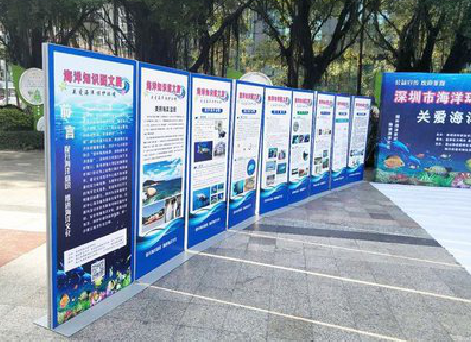  卫辉KT板的种类和知识。